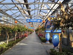 -南宫五洲植物乐园