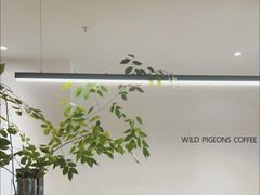 -野鸽子咖啡(中航店)