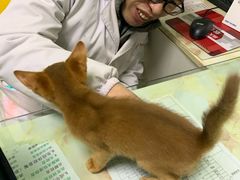 -百信宠物医院(东升街店)