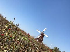 -北纬44度·金珠花海休闲农业旅游景区