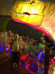 -恐龙探索乐园(磁器口店)