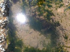 -青岛第三海水浴场