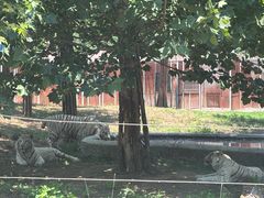 -秦皇岛野生动物园