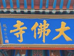 -张掖大佛寺景区