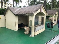 -三亚亚龙湾天域度假酒店
