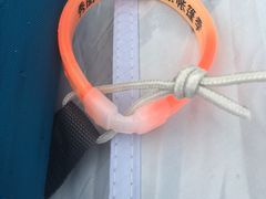 -秀丽东方
