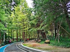 -苏州河梦清园环保主题公园