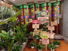 -点都德(龙之梦店)