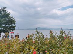 -深圳湾公园(南山区)