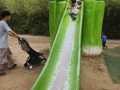 -西部长青自然儿童乐园