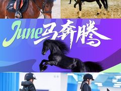 -骑乐马术(广州奥体优托邦中心)