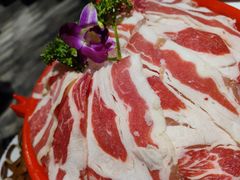 -红鼎坊·老成都火锅(新南门店)