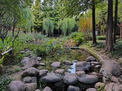 -陈家山荷花公园