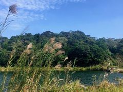 -海南热带雨林国家公园吊罗山景区