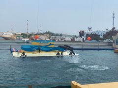 -秦皇岛乐岛海洋王国