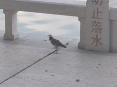 -筼筜书院