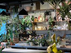 -自由生长植物工作室(深港花卉中心店)