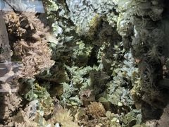 -湖南省地质博物馆