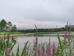 -美兰湖景区