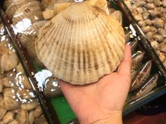 -渔人码头(洛溪店)