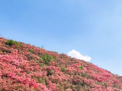 -木兰云雾山