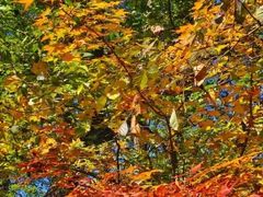 -玉渡山自然风景区