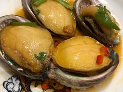 -朱记乳鸽王·非遗石岐乳鸽·全鸽宴(大兴旗舰店)