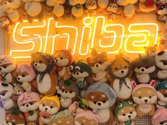 -豆柴町-柴犬主题狗咖(红鼎国际C座店)