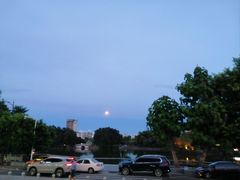 -OLD TREE老树咖啡·西餐厅(台山人工湖店)