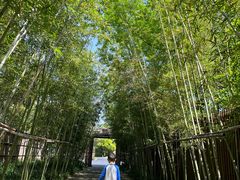 -新荣记(西溪湿地店)