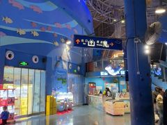 -烟台海昌鲸鲨海洋公园