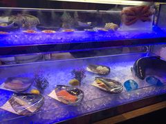 水产区-星河湾半岛酒店·意咖啡西餐厅