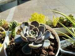 -咱家大院海鲜家常菜