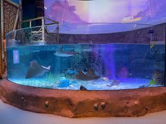 -沈阳海洋探索中心