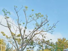 -亚龙湾中心广场