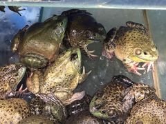 -天丰利生活MALL(和平里店)