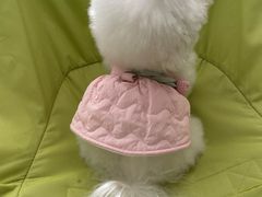 -四月宠物医院·猫专科·心脏专科·内科(转塘店)