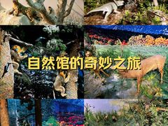 -温州博物馆