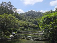 -云溪植物园