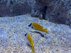 -福州罗源湾海洋世界旅游区