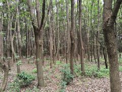 -同里国家湿地公园