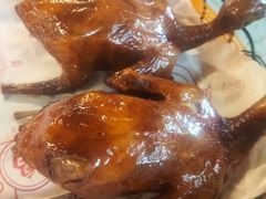 -百利鸽王(紫薇路店)