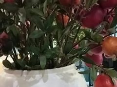 -尚帝·洛阳菜(八號院店)