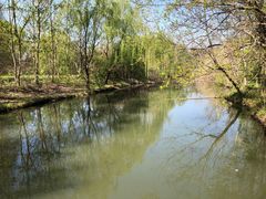 -溱湖国家湿地公园