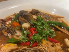 -杨氏青龙虾·羊蝎子(托乐嘉店)