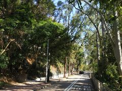 -大埔公路-马料水段香港中文大学(公交站)