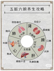 点击看大图 -香薇妮丝女子减肥院