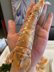 -蜜悦居月子会所(环贸中心店)