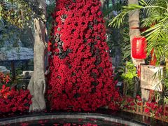 -东方华地城湿地温泉度假区