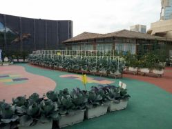 -梦田都市农场(银泰城店)